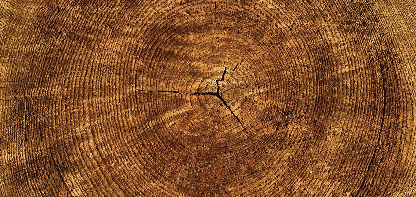 ottawa hardwood flooring